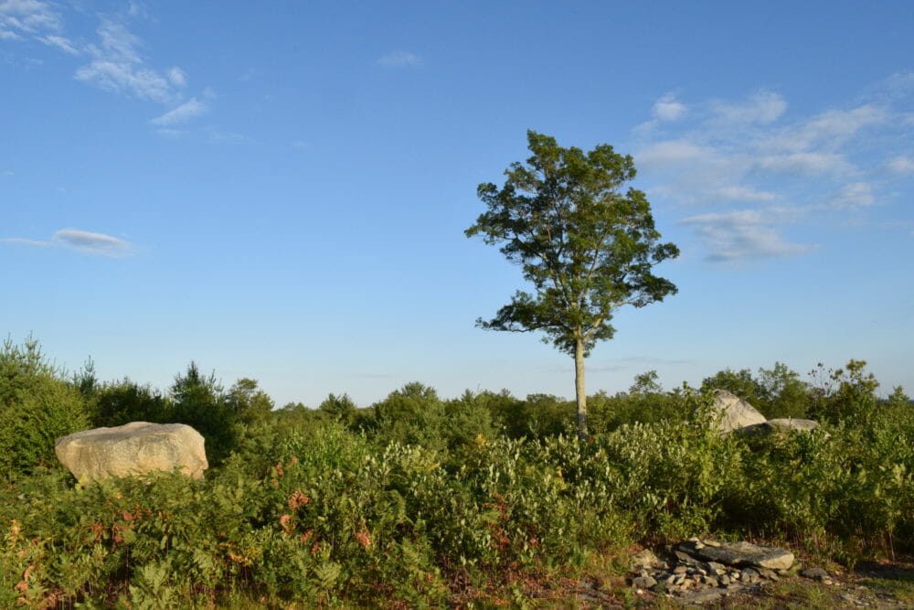 Bull Hill Project The Wyndham Land Trust