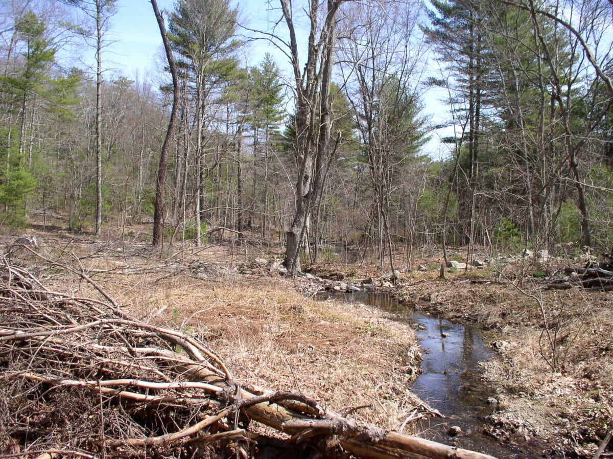 Yosemite Valley Preserve The Wyndham Land Trust