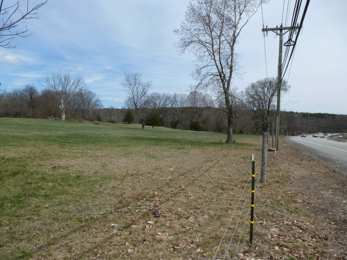 Harvey Preserve The Wyndham Land Trust