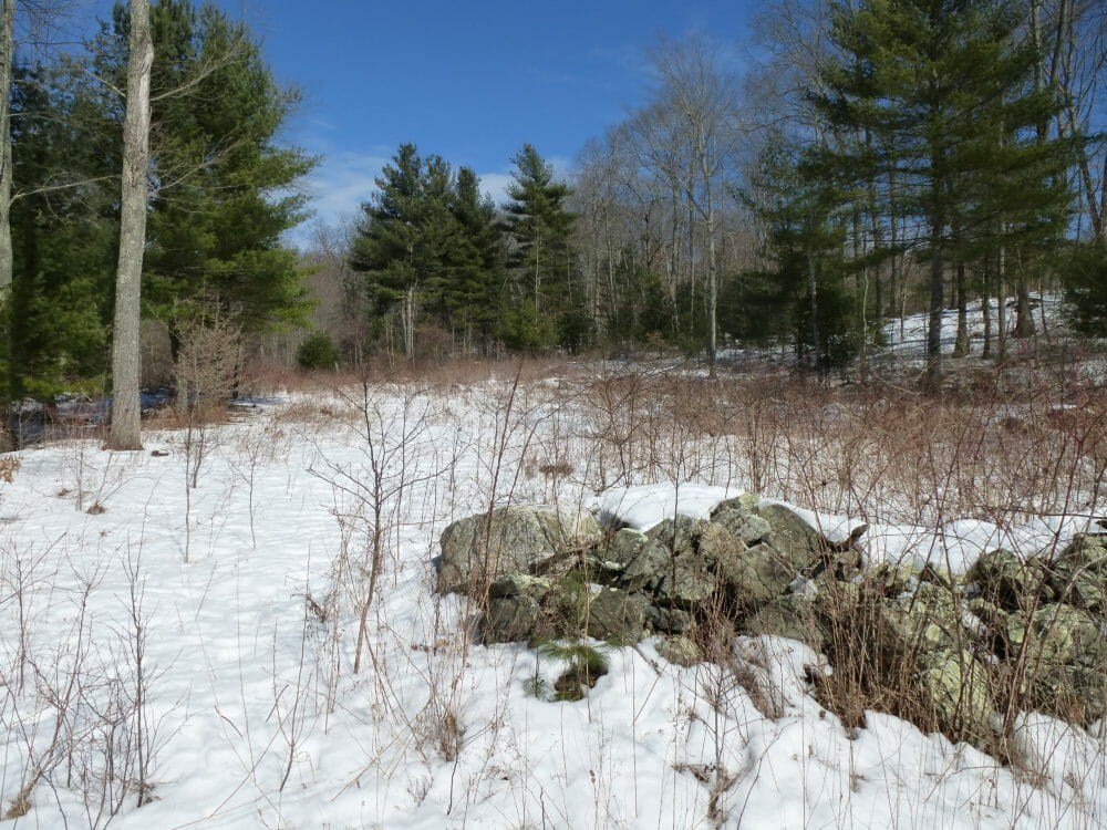Rainville Preserve The Wyndham Land Trust