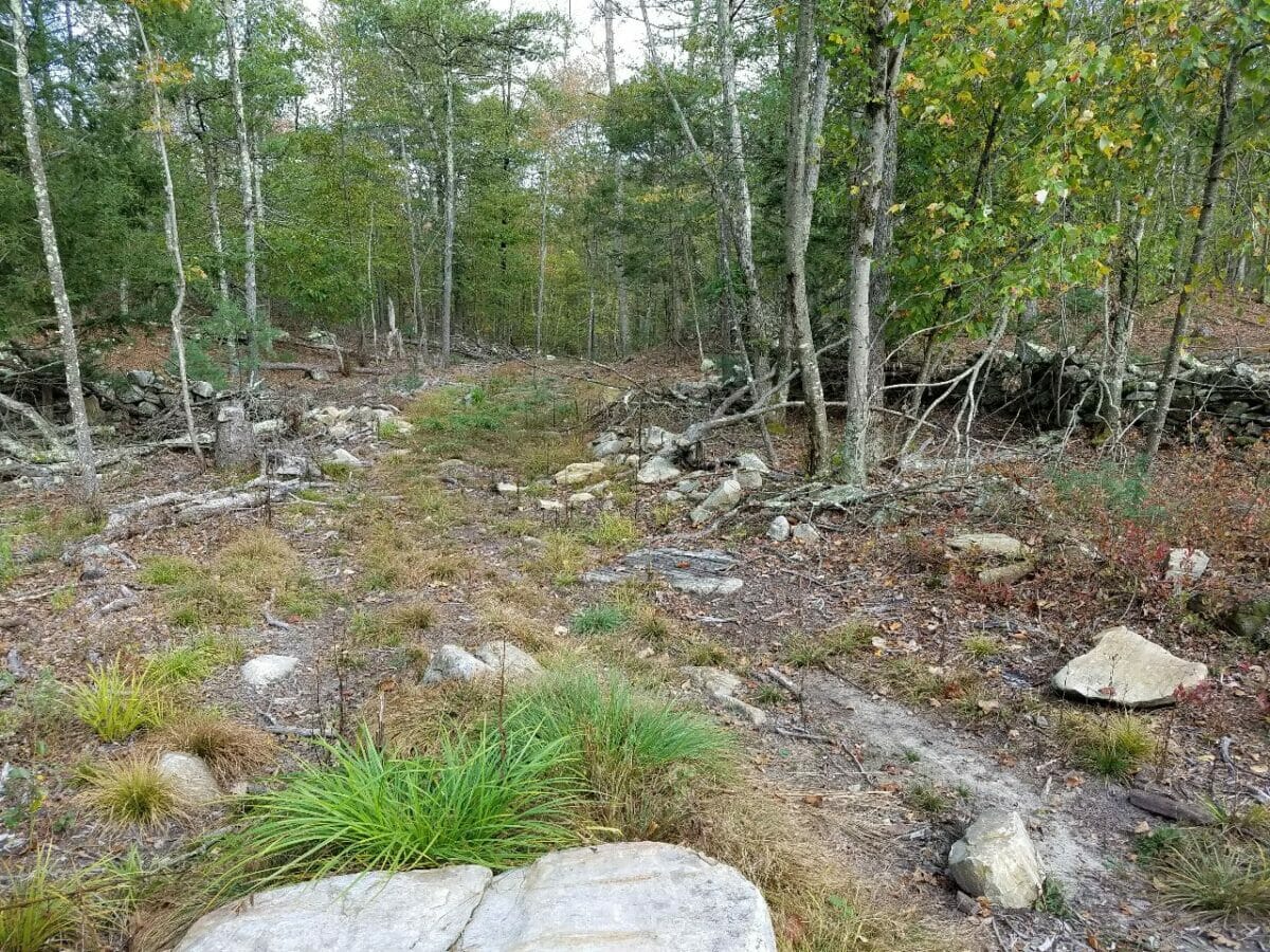 Edward R. Laby Memorial Preserve The Wyndham Land Trust
