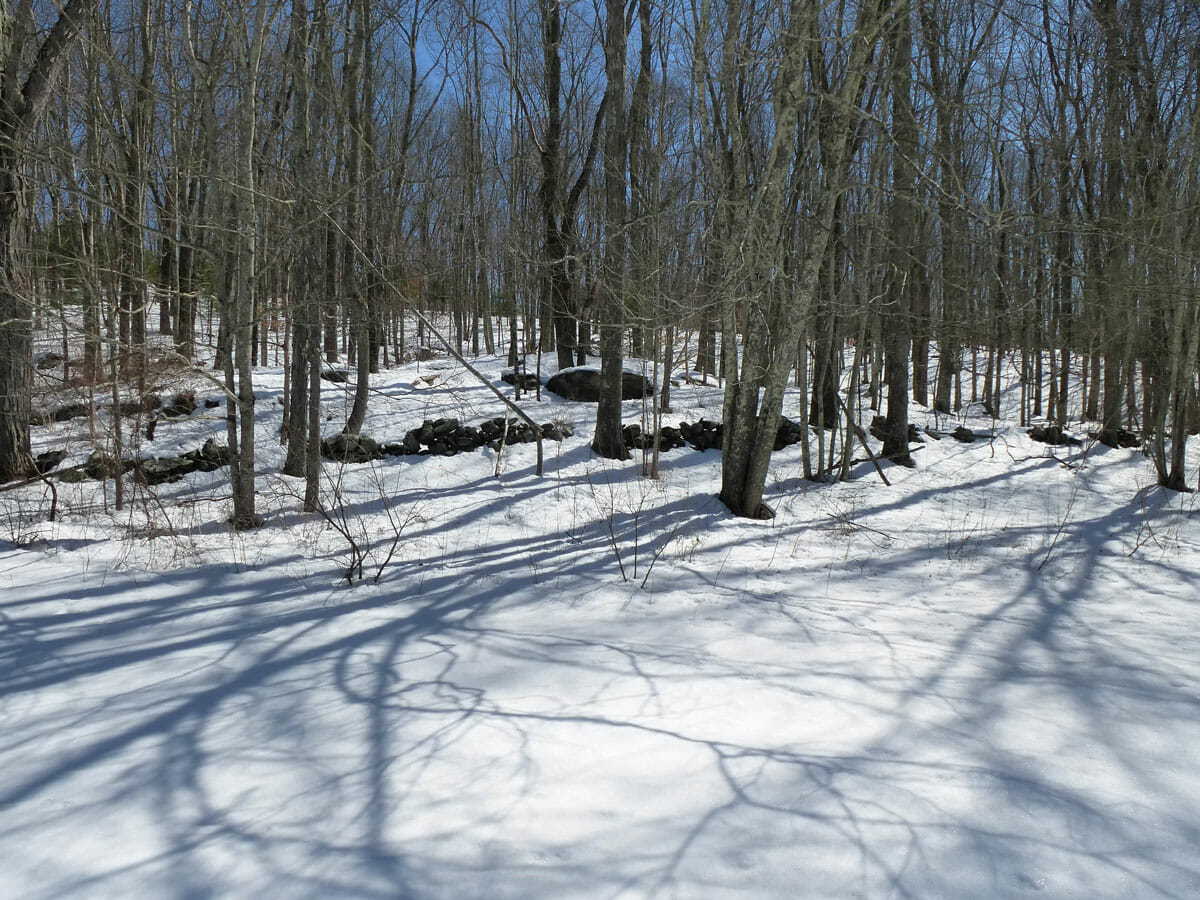 Rainville Preserve The Wyndham Land Trust